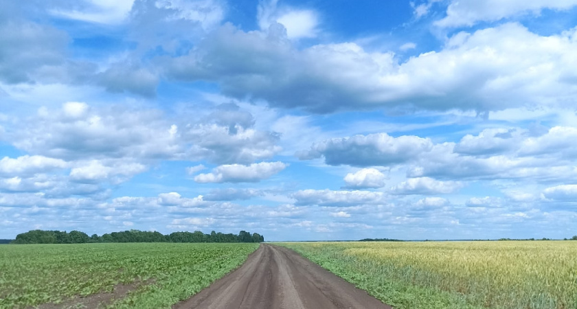 В Рязанской области продолжаются работы на полях