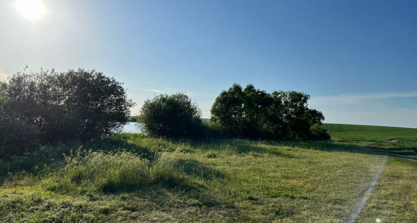 За рязанскими лесами круглосуточно наблюдают 