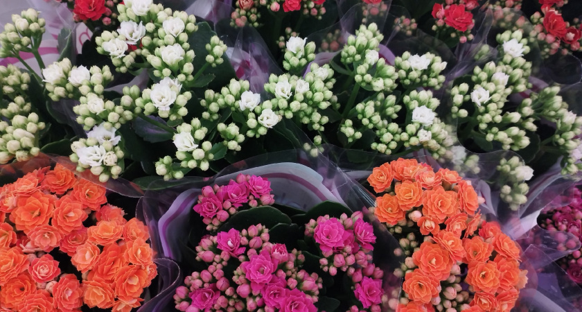 В рязанском цветочном магазине камеры засняли кражу