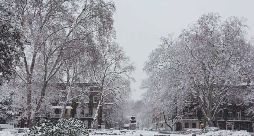 "На нас надвигается волна холода и снега": погода к концу недели заставит одеться тепло, температура начнет падать вниз