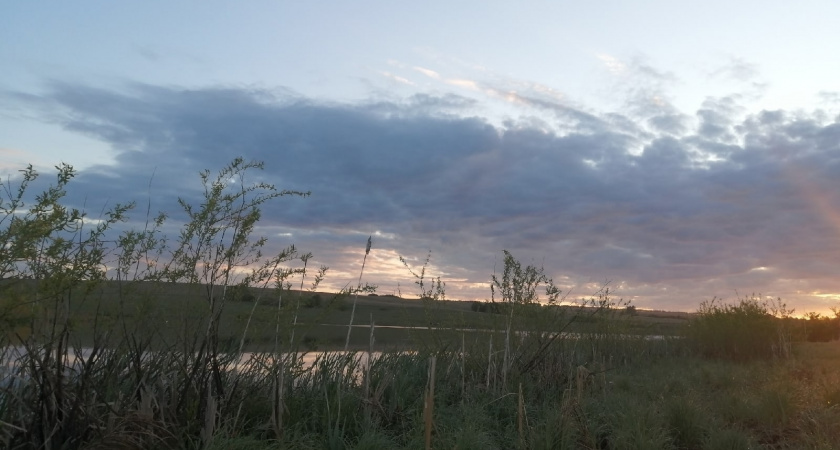 Рязанцев предупредили о шквалистом ветре