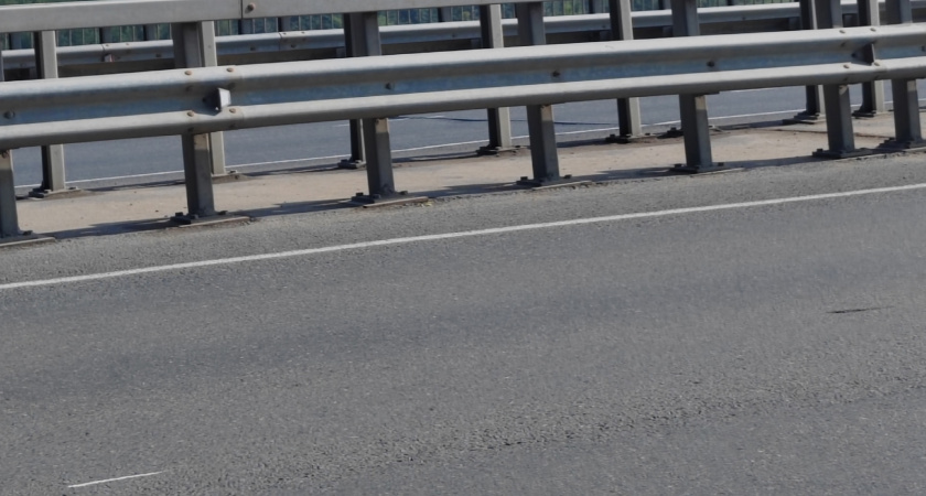 Участок дороги под Рязанью перекроют из-за скота