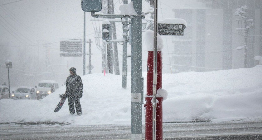 Зима-2026 будет безжалостна: синоптики призвали дачников и пожилых готовиться к худшему - точный прогноз