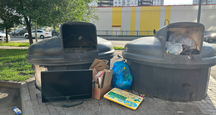 Рязанцам рассказали о штрафах за неправильный выброс мусора