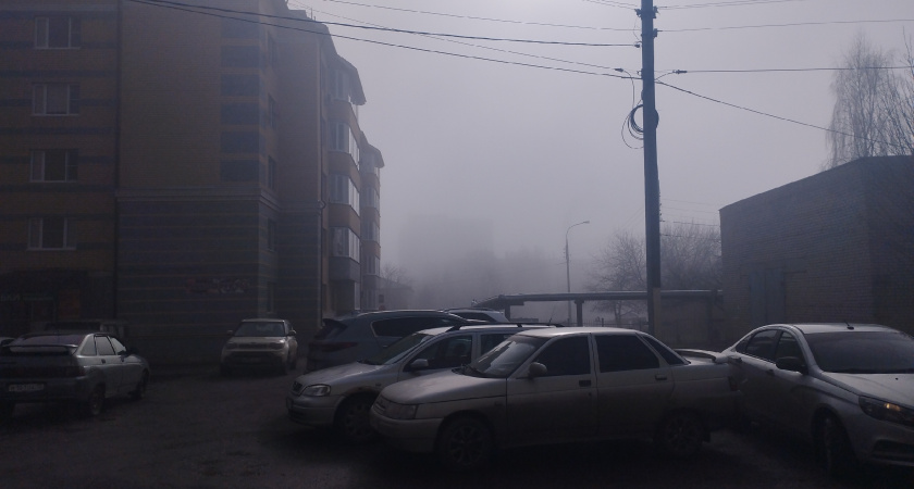  МЧС предупреждает рязанцев о сильном тумане