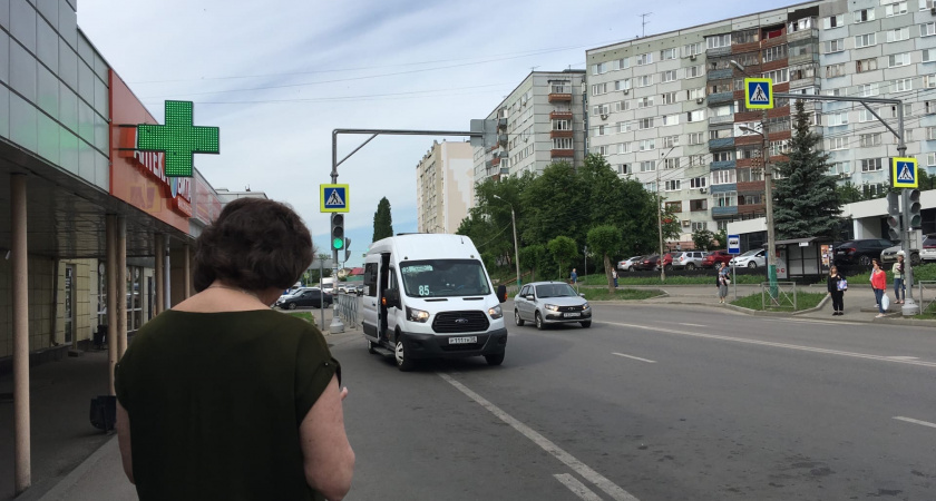 В салоне рязанской маршрутки выросли грибы