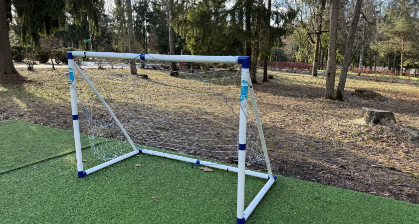 В Рязанской области задумались о развитии футбола