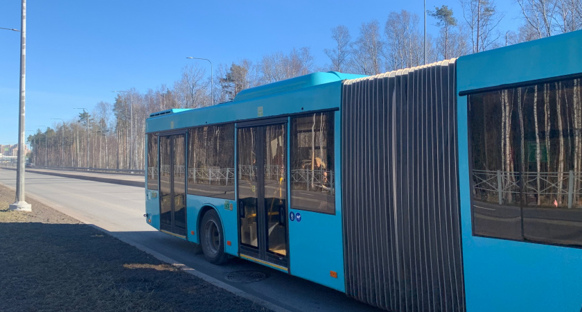 В Рязанской области автобусы попали под усиленный контроль ГИБДД