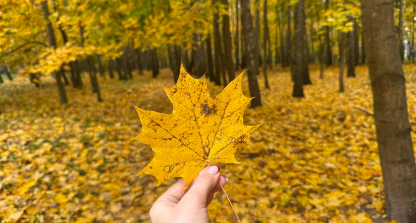 Рязанцев ждет аномальное тепло: синоптик рассказал, когда будет первое серьёзное похолодание