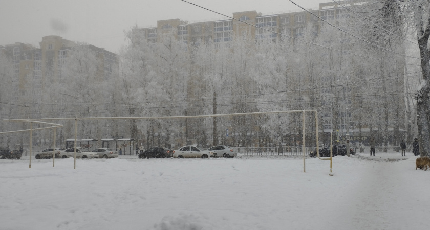 Аномалий не избежать: синоптик Роман Вильфанд предупредил о приближении безжалостной зимы-2026