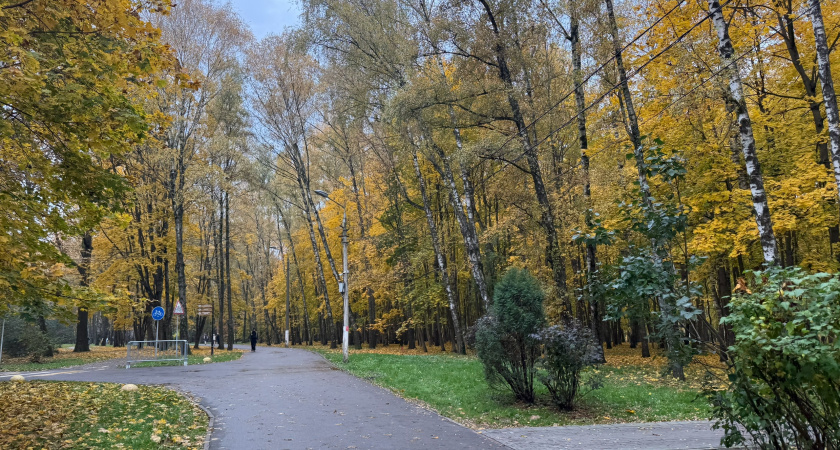 В Рязани на благоустройство ЦПКиО потратят 260 миллионов