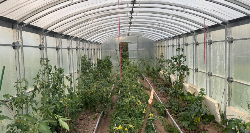 Юный гений из Рязани придумал, как управлять огородом со смартфона: умная теплица своими руками