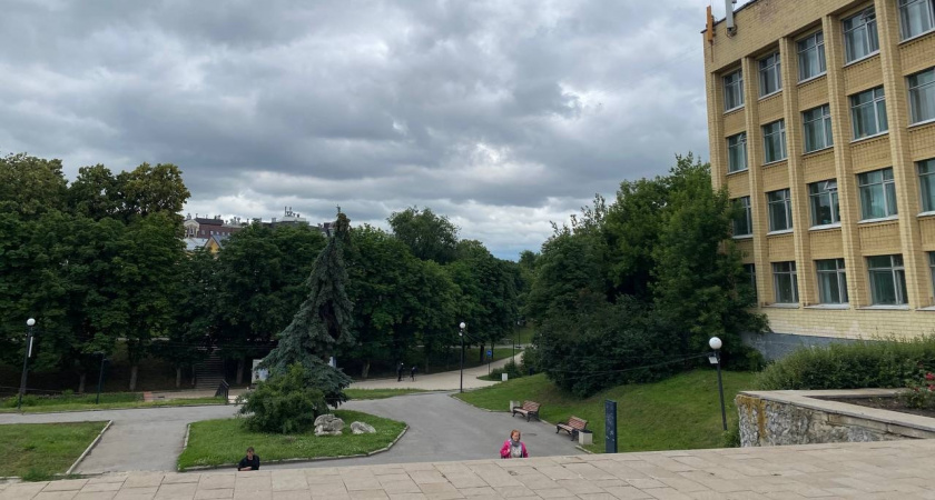 На Введенской в Рязани посадили новые липы