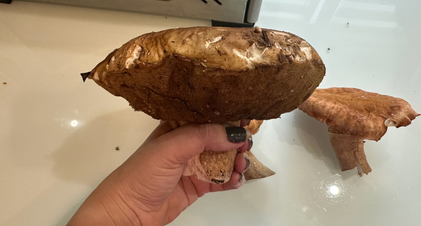 Рязанцы за час набрали целых восемь ведер