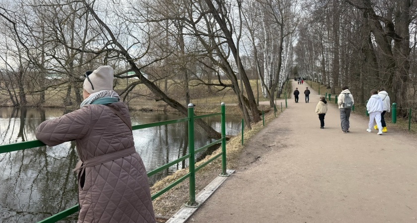 Судьба даст ценный шанс: кому из знаков Зодиака 7 ноября 2025 года стоит рискнуть