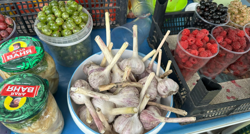 34 рязанца оштрафованы за торговлю в неположенных местах