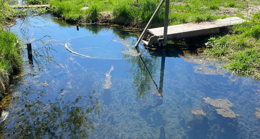 Переехала в заброшенную деревню, где жил 1 человек: на окраине в овраге нашла шанс стать богатой - вот на чем заработала первый млн