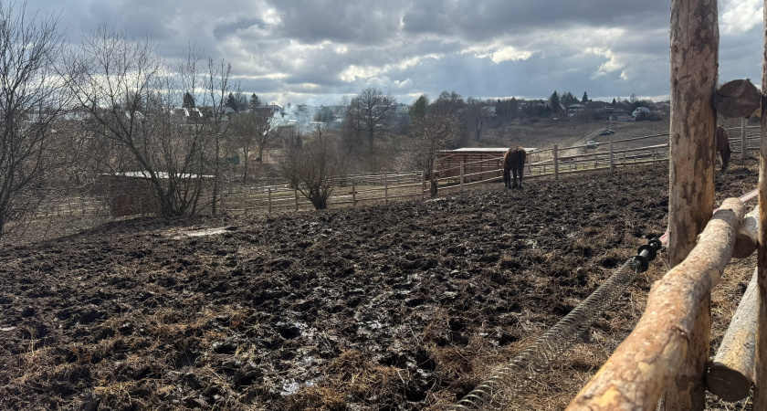 Рязанские фермеры почти повторили свой зерновой рекорд