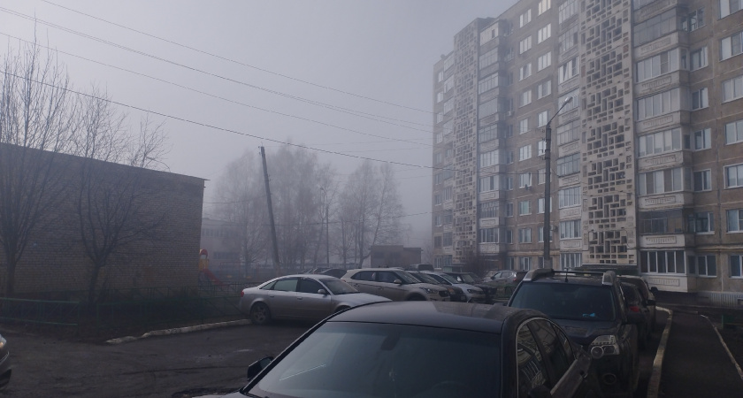 Туман окутает Рязанскую область: МЧС предупреждает об ухудшении видимости