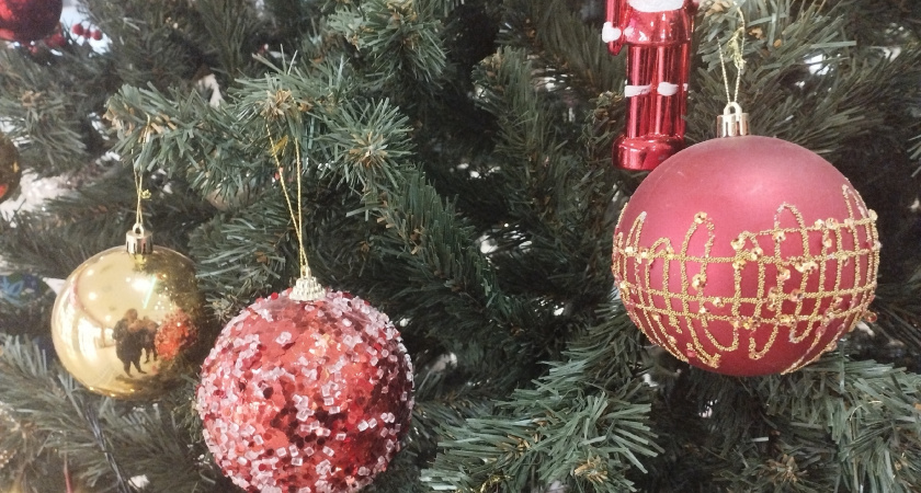 На Рязанской ВДНХ появится елка с фотографиями жителей