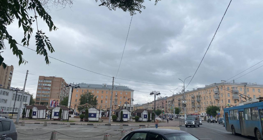 Исторический дом в Рязани стал рассадником крыс, по мнению жителей