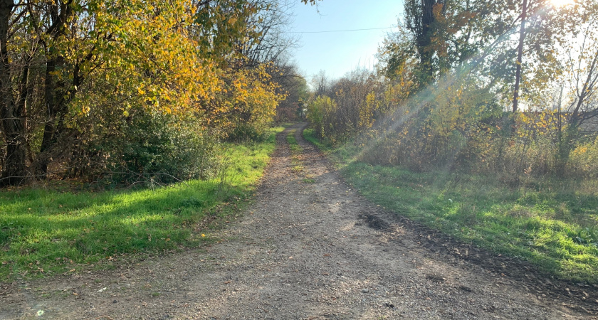 В лесах под Солотчей дороги завалили мусором
