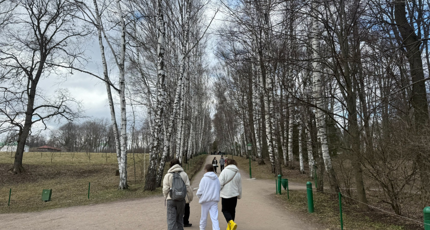 Звездный совет на 12 ноября: почему всем знакам стоит отложить дела и просто отдохнуть