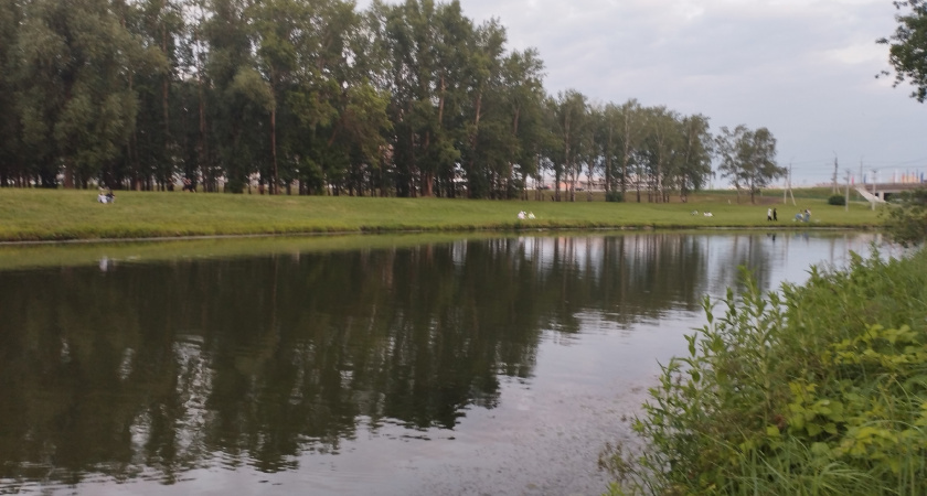 В Рязанской области волонтеры очистили 70 км берегов