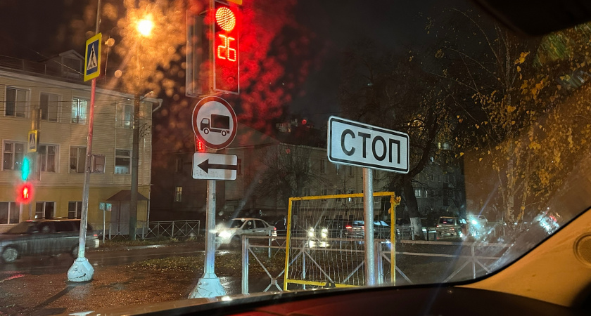 Опасное дерево нависло над улицей Типанова в Рязани