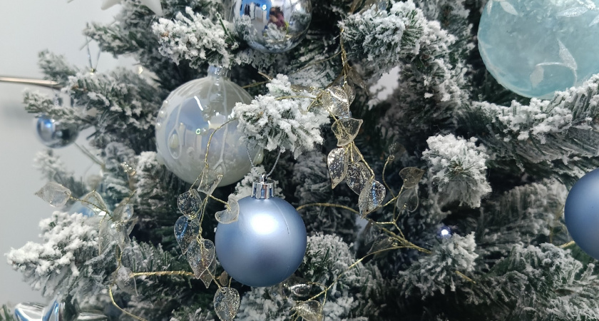 В рязанском Лесопарке начинается настоящая новогодняя сказка