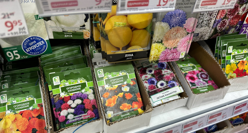 Нашла в Светофоре семена редкого цветка за 114 руб: пришла домой и посадила - довольна покупкой как слон