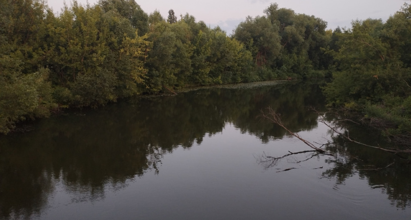 В болотах под Рязанью нашли пропавшего мужчину