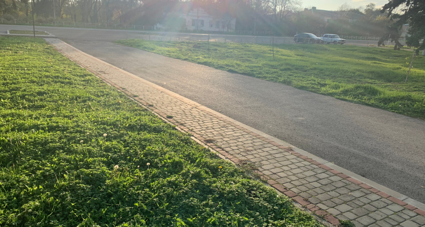 В Рязани сумма штрафов за стоянку на зелёных зонах перевалила за 11 миллионов