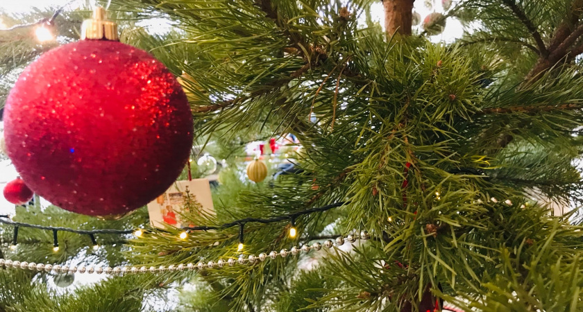 Главную новогоднюю ель Рязани начали устанавливать на площади Ленина