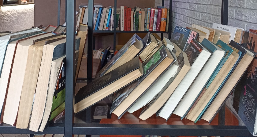 Рязанцы рассказали, как часто они наведываются в библиотеки