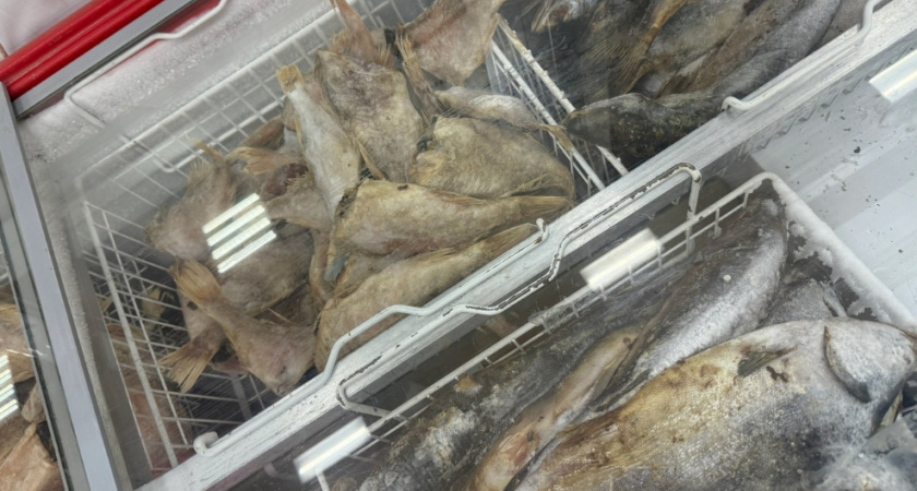 Купил форель в "Светофоре" для засолки икры: принес домой и вот что нашел - честный отзыв