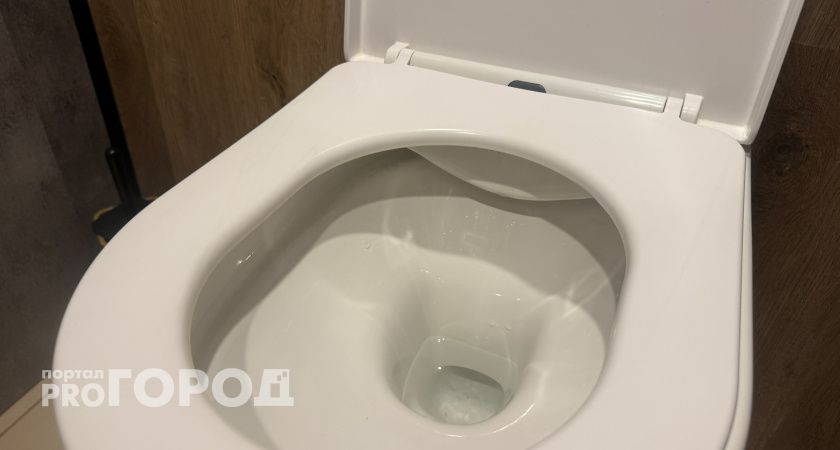 5 млн на туалеты: рязанцев возмутило новое «премиум»-обновление к Новогодней столице