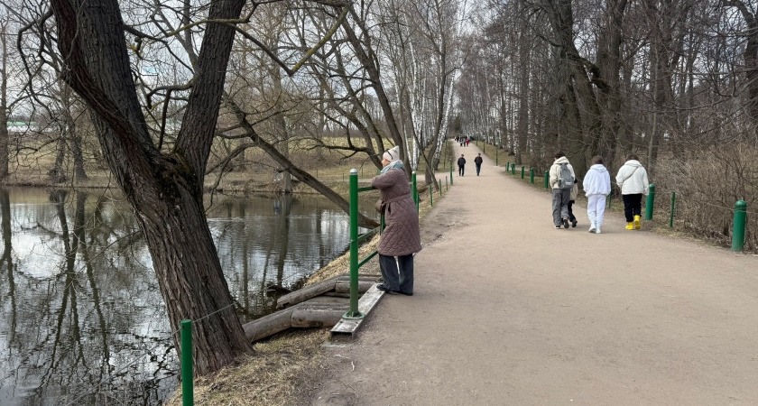 В Рязани начинают белить деревья
