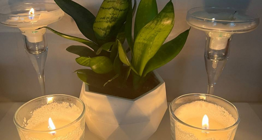 Сильный ветер оставил рязанцев в садоводческом товариществе «Рубин» без света