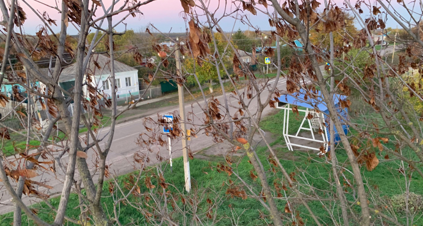 Детей лишают знаний: с чем пришлось столкнуться жителям с. Лесуново из-за отключения интернета