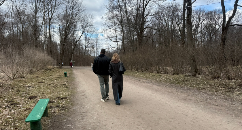 Стрельцам — зелёный свет, Близнецам — новые связи, Козерогам — стратегический ход: что звёзды советуют на 21 ноября 2025