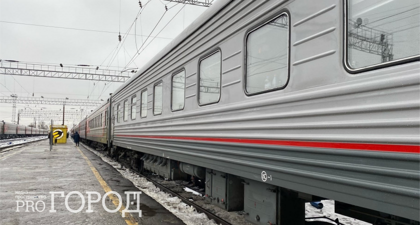 Женщина погибла под поездом в Рязани