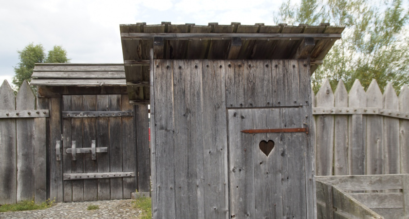 Узнал что посадить рядом с туалетом на даче: больше не заморачиваюсь с чисткой септика - простой и надежный способ