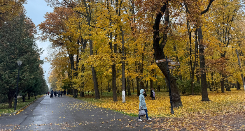 «Территория парка в ужасном состоянии»: как на самом деле проводилось благоустройство зоны отдыха в г. Кораблино