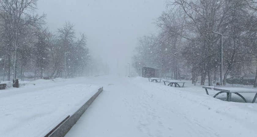 Рязанцам рассказали, когда настанет зима