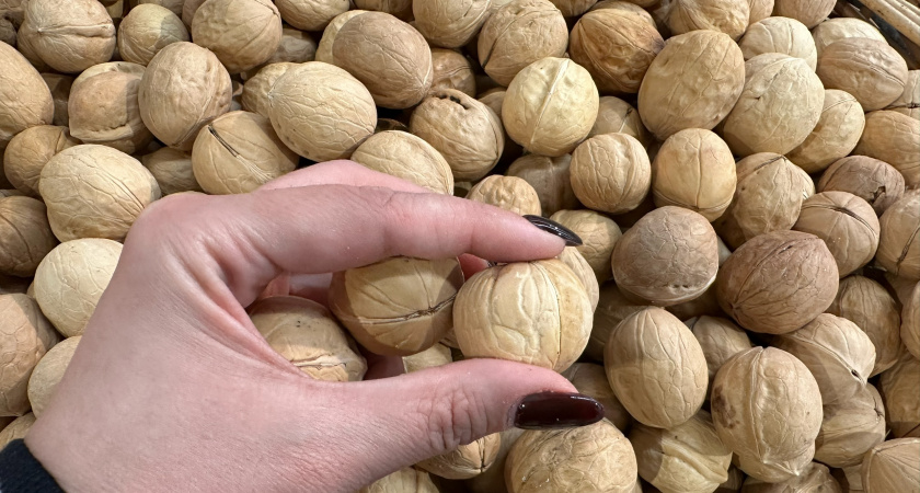 4 причины, почему я всегда ношу грецкий орех в кармане - этот способ передают из поколения в поколение