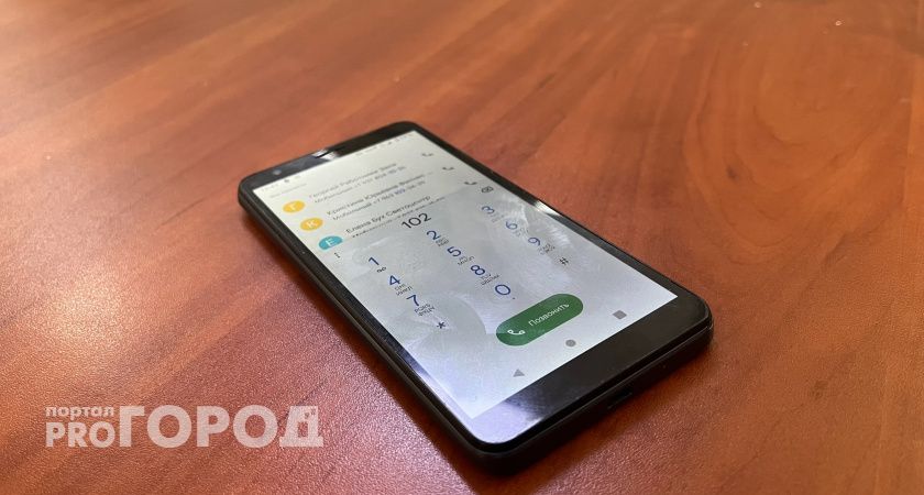 В Рязанской области выросло число IT-преступлений: ущерб превысил 48 млн рублей