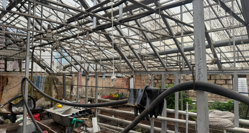 «Ты так зачем строить? Надо не так»: китаец научил меня строить теплую теплицу на зиму - собираю 4 урожая в год