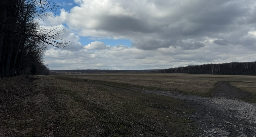 В Сараевском районе отменили восьмилетний карантин по повилике