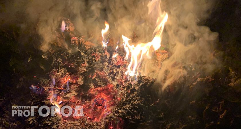 Жители бьют тревогу: «Дубровичи — больше не экологически чистый район?» Новая свалка вызывает волну жалоб